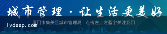 往市政排水管倾倒建筑废水？城管：罚9000元（学到了）