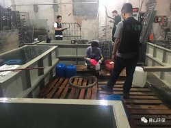 佛山三级环保加公安部门联合执法查处南海2家污企，七人被带走调查