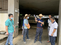 省市镇联合执法，东莞严查环境违法行为