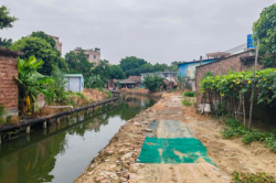 东莞高埗：清除障碍，提高河道整体防洪能力